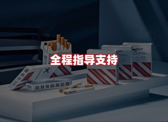 专业团队